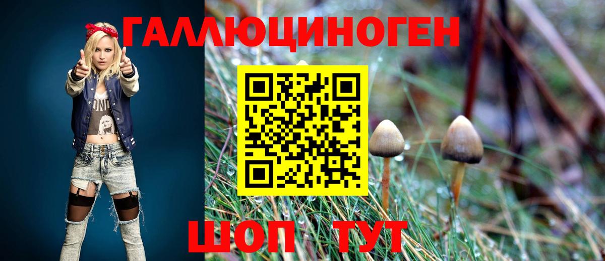 Галлюциногенные грибы MAGIC MUSHROOMS  Вход с VPN  Реж 