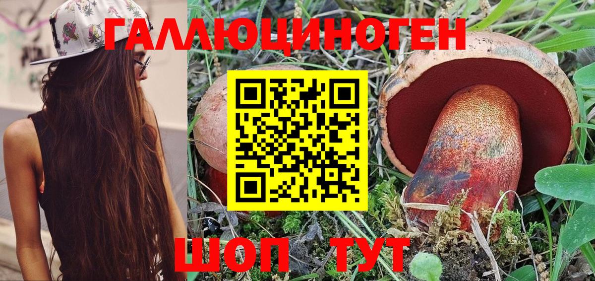 Галлюциногенные грибы Magic Shrooms Реж