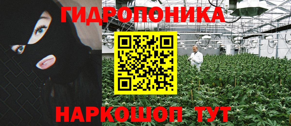 Бошки Шишки гибрид Реж